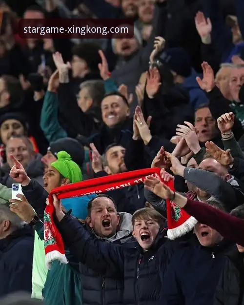 足总杯焦点战复盘：利物浦客场3-1狼队，掌握星空体育使用教程解锁专业赛事分析